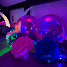 Load image into Gallery viewer, Gala's