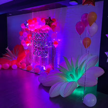 Load image into Gallery viewer, Gala's