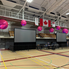 Load image into Gallery viewer, Music Video Dance Party