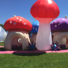 Load image into Gallery viewer, Festival Design