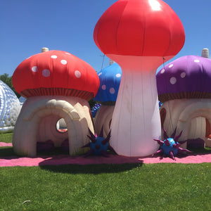 Inflatable Decor
